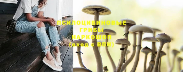 ECSTASY Абдулино