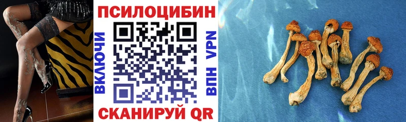 Галлюциногенные грибы мухоморы  хочу наркоту  Монино 